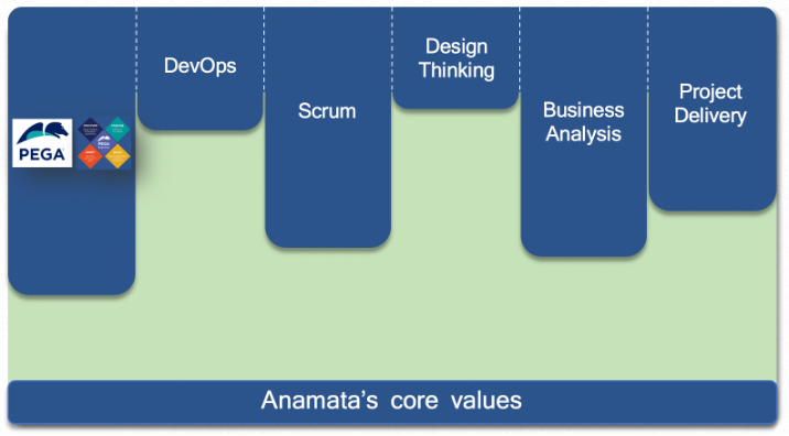 This skills of an Pega Architect within Anamata